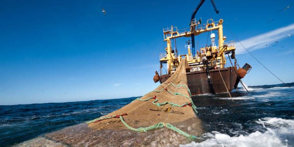 İspanyol balıkçılığı Brüksel'den gelen kesintiyi önlüyor ve 2026 kampanyası için balıkçılıkla geçirilen günlerin kaybedilmesini önlüyor