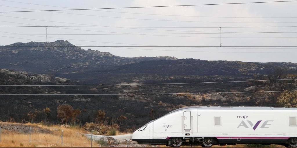 Miedo al tren, viajes más lentos y trasvase al avión y la carretera: el accidente de Adamuz abre un punto de inflexión en el AVE