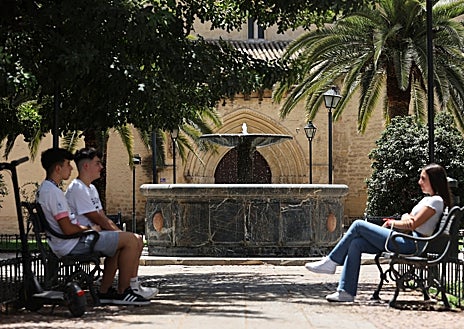 Imagen secundaria 1 - Plazas de Córdoba que tienen ornamentales