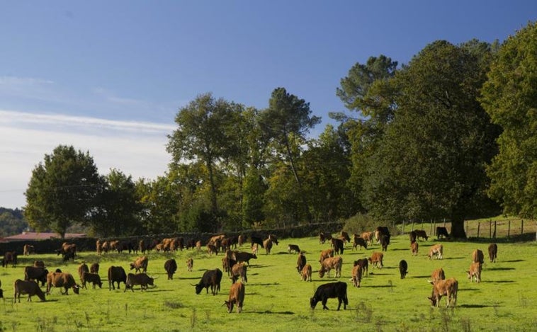 El 65% de los habitantes del rural no ve factible crear un negocio