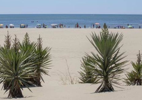Imagen secundaria 1 - Playas de Valdevaqueros, Isla Canela y la del embalse de La Breña II en Córdoba