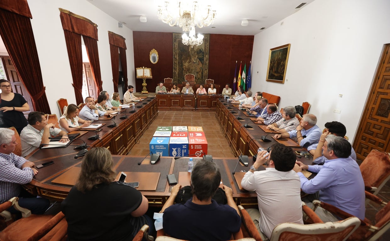 Reunión de alcaldes de la zona norte en Diputación para abordar el tema de la sequía