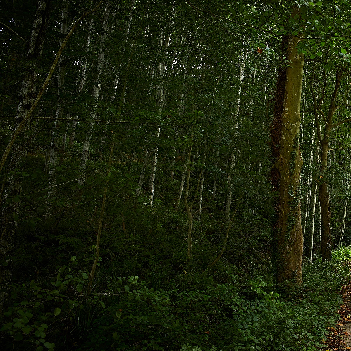 Aquí asesinaron a Miguel Ángel Blanco y nació el espíritu de Ermua