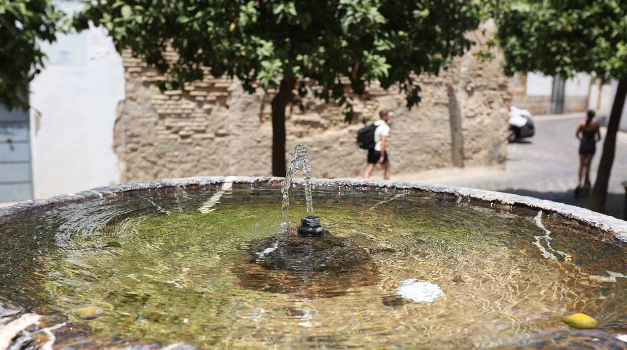 Un paseo por las variadas fuentes de Córdoba