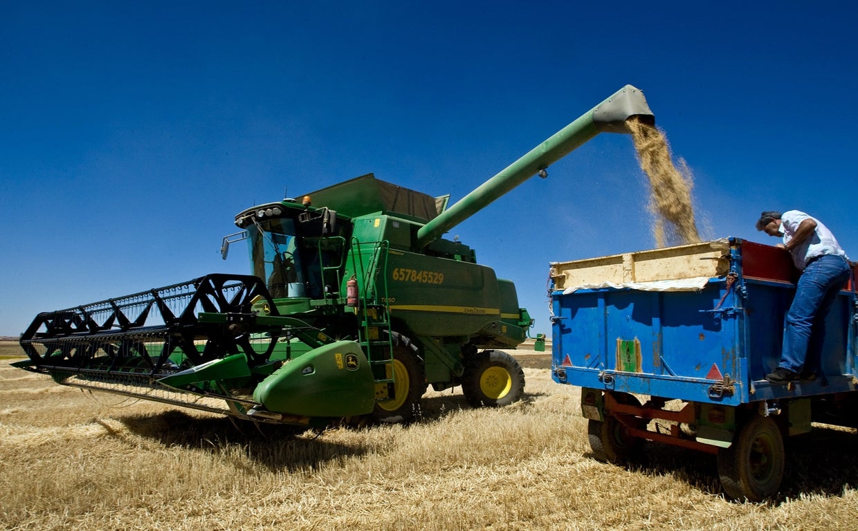 Una cosechadora en una explotación