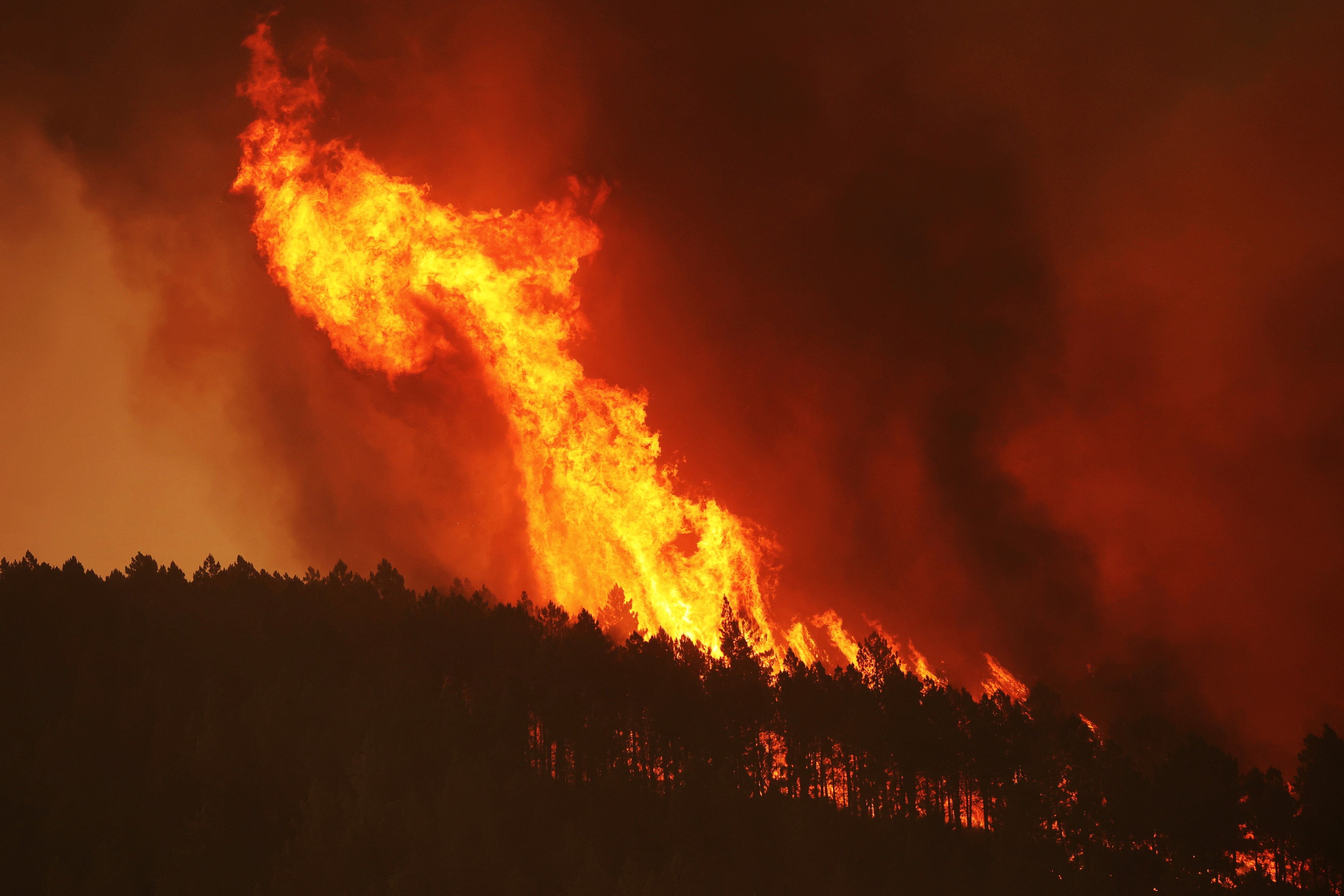 El fuego se originó l lunes en Ladrillar, en la provincia de Cáceres