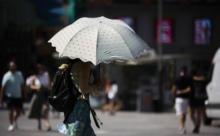 Madrid toma medidas ante las altas temperaturas