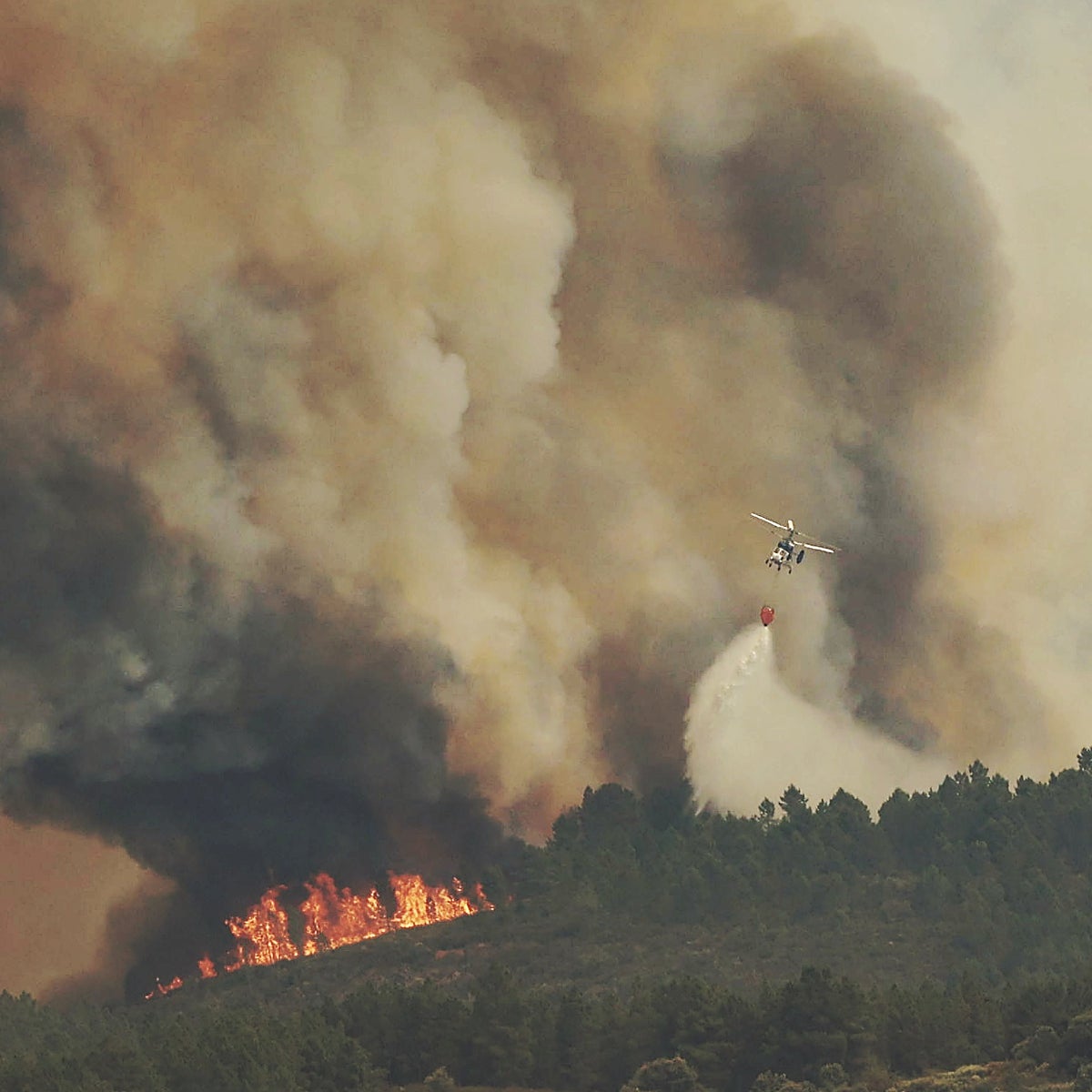 Los incendios de Salamanca se encuentran «sin llama» tras calcinar 3.300 hectáreas