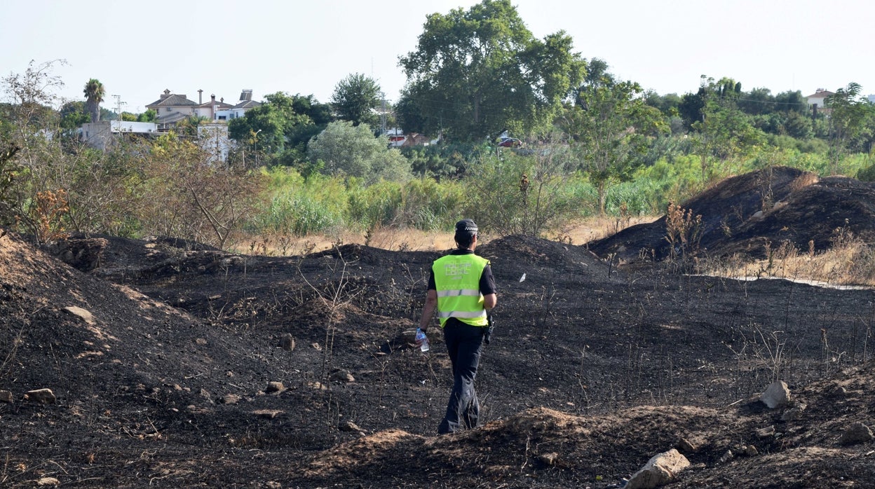 Las llamas del incendio mantienen en alerta a Jerez por tercer día consecutivo