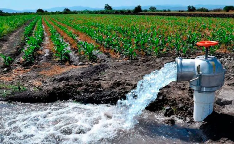 CHJ detecta más de 220 hectáreas de cultivos con riegos ilegales  en pueblos de Albacete y Cuenca