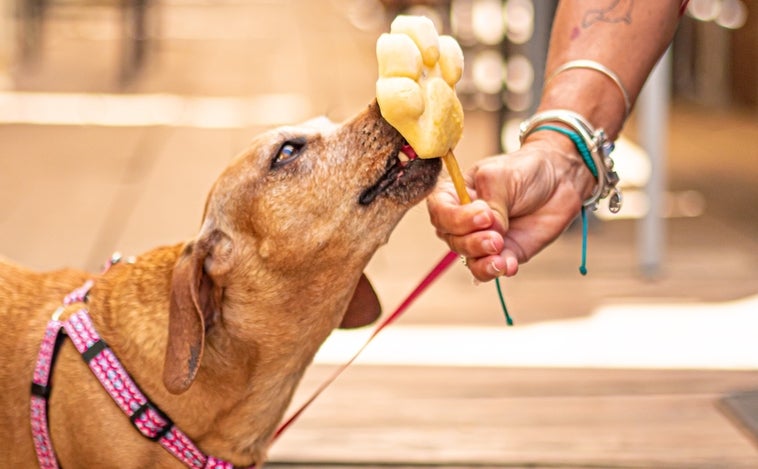 Unlugar, sabores de la huerta del Baix en la playa de Castelldefels para humanos y mascotas