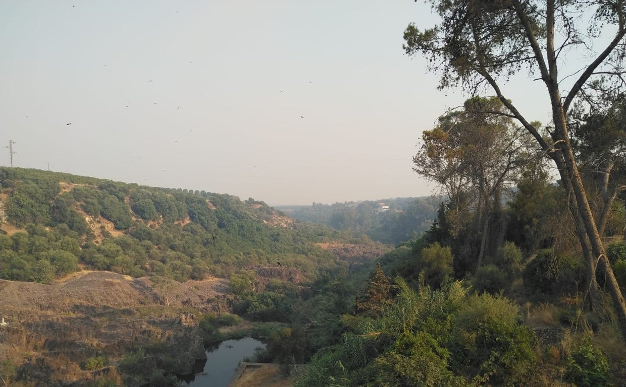 La intensa humareda del macroincendio forestal de Mijas llega a Posadas