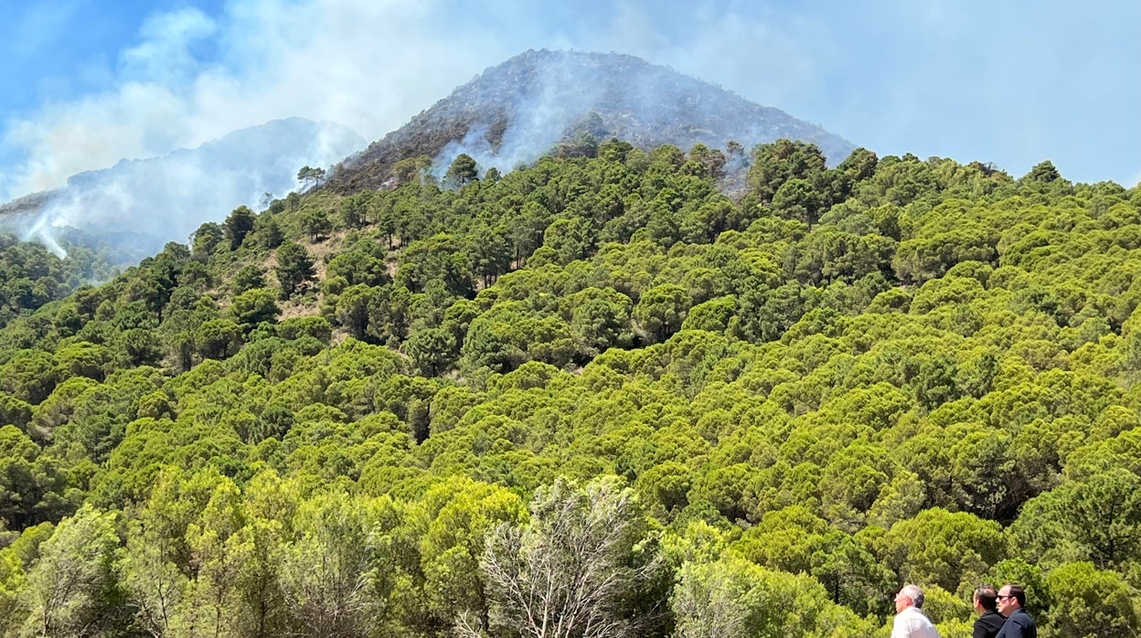 El pulmón verde de Andalucía pierde en un año 17.000 hectáreas en la sierra de Málaga