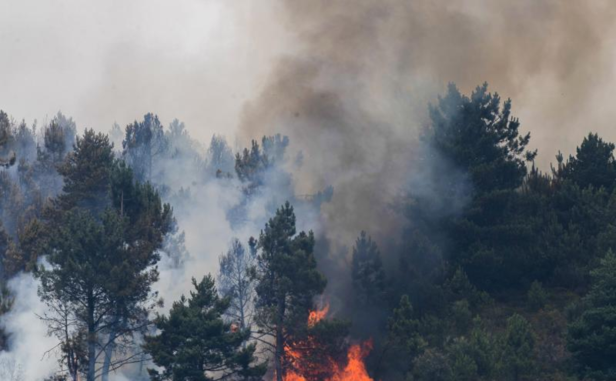 Incendio en Carballal, Lugo