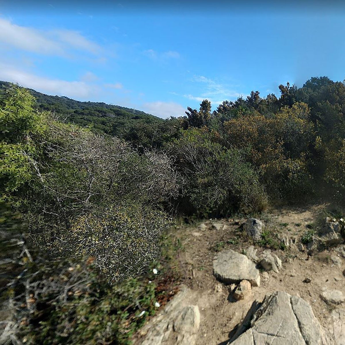 Fiesta 'rave' con drogas y una hoguera en un parque natural de Barcelona cerrado por riesgo de incendio