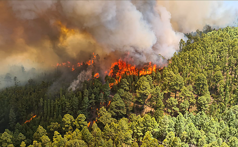Incendio forestal en Los Realejos (Tenerife) con gran potencial