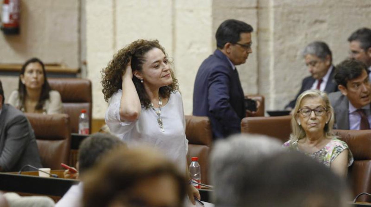 La portavoz de Por Andalucía ofrece a Moreno «un disenso honesto y un consenso robusto»