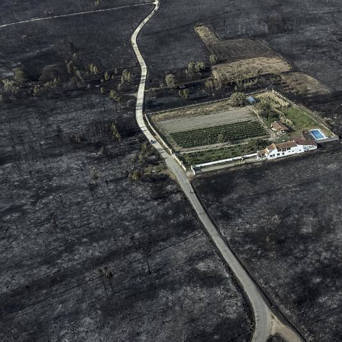 Los montes que arrasó el fuego en Galicia tardarán hasta siglos en recuperarse