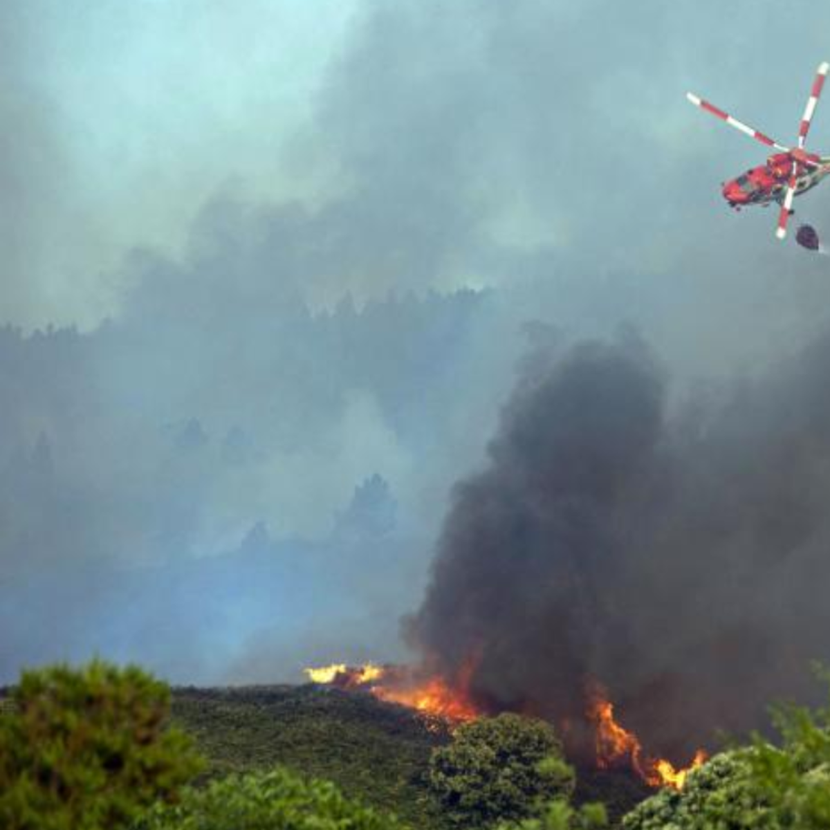 Un giro de viento descontrola el incendio de Los Realejos, con llamas de 60 metros de altura