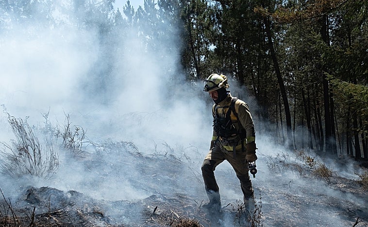 «Las vidas, las casas y matar al monstruo son nuestra prioridad»
