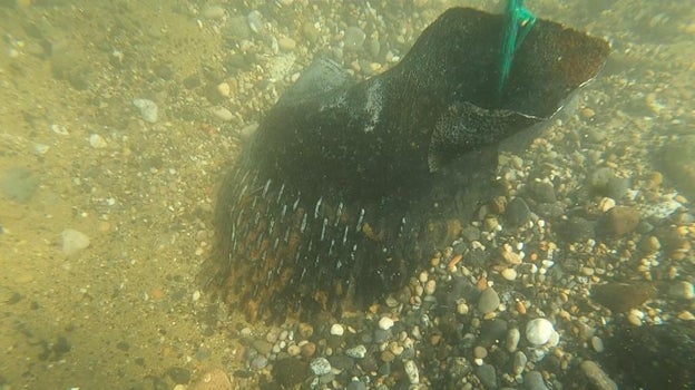 El objeto localizado en la orilla de la playa de la Barceloneta