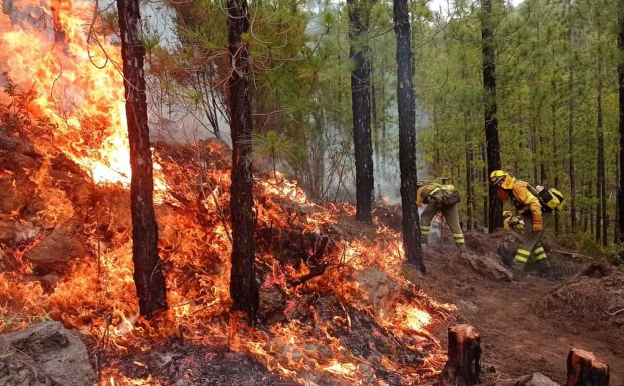 Efectivos trabajan en Chanajiga y ladera de Tigaiga, prioridad de ataque en la extinción