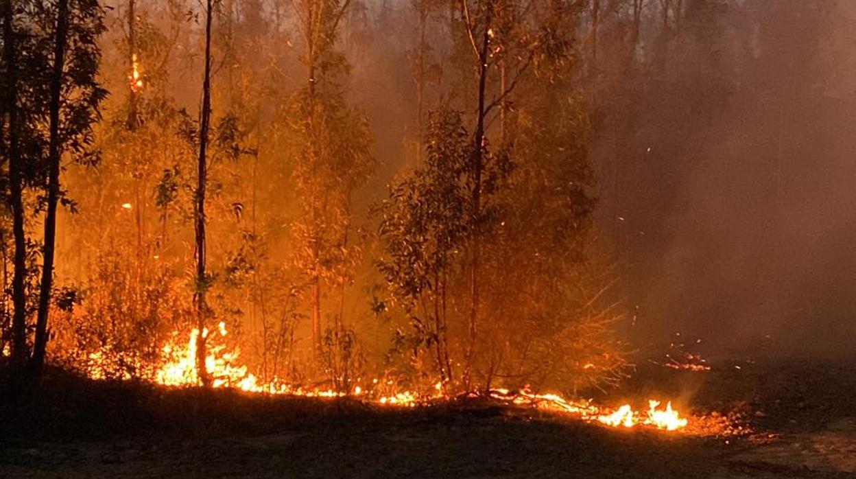 Incendio en Almonte: activado el Plan de Emergencias Municipal