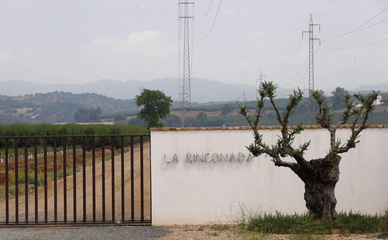 Terrenos en que se levantará la futura Base Logística del Ejército de Tierra
