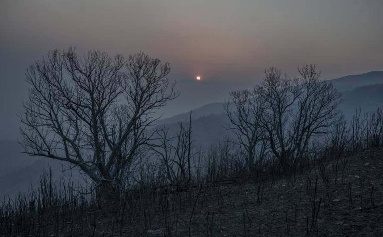 Monte calcinado tras esta ola de incendios en Galicia
