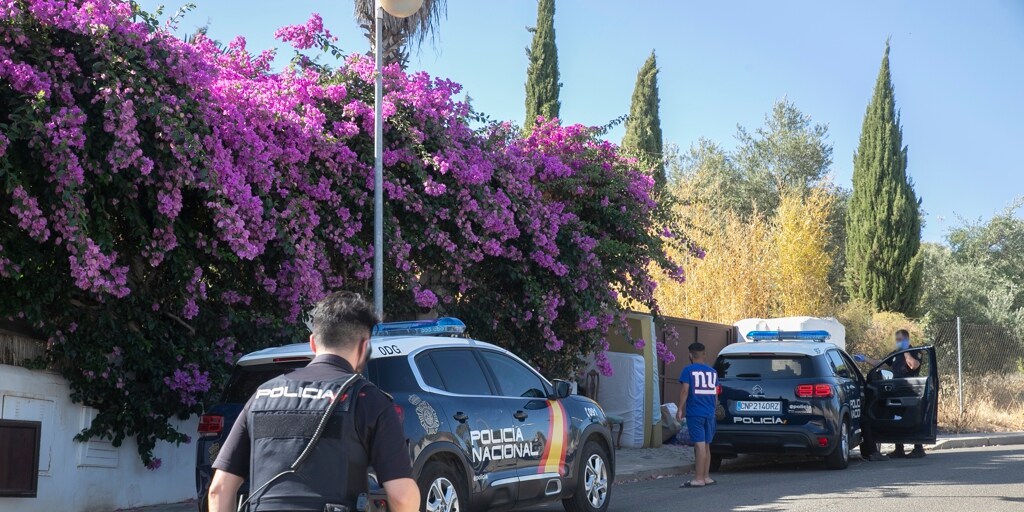 sevilla.abc.es