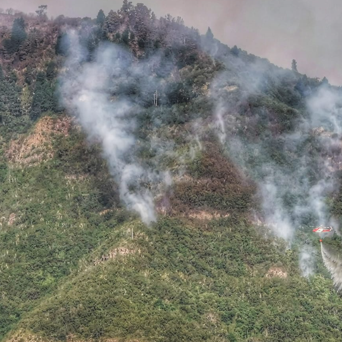 El presidente canario para quienes provoquen incendios: «deben pagarlo con toda la fuerza de la ley»