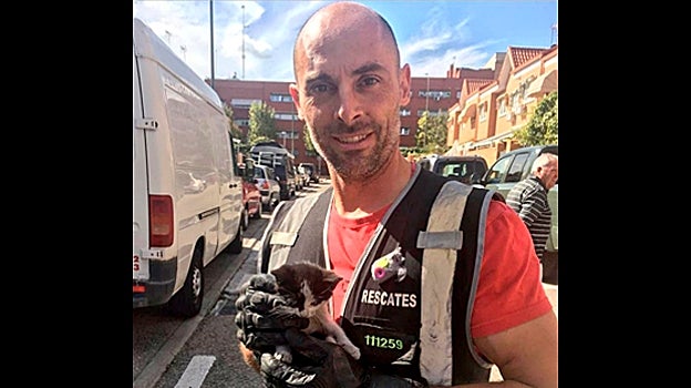 Alberto Díaz García, el bombero fallecido, con un gato recién rescatado