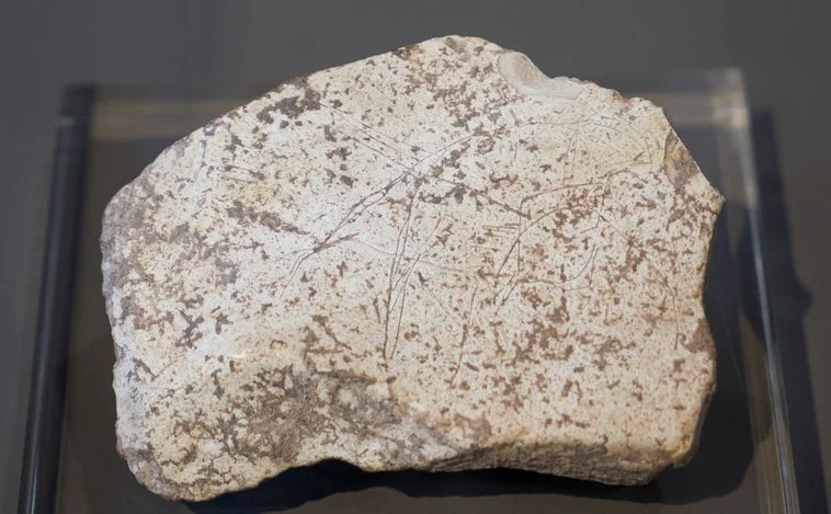 El artista del Paleolítico que retrató bucardos y anticipó el logotipo hace 14.000 años