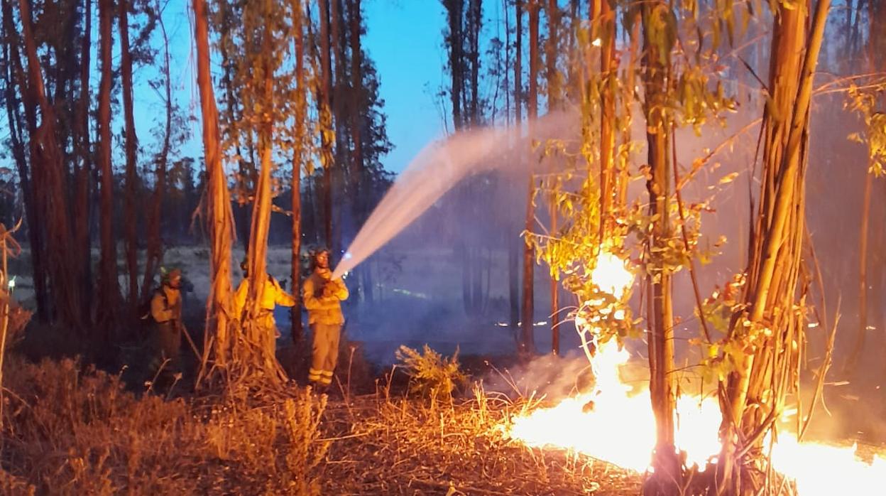 El Infoca estima en 1.100 las hectáreas quemadas en el incendio de Almonte