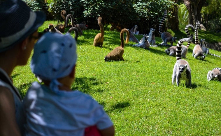 Bioparc Valencia, un oasis verde y azul de 46.000 metros cuadrados