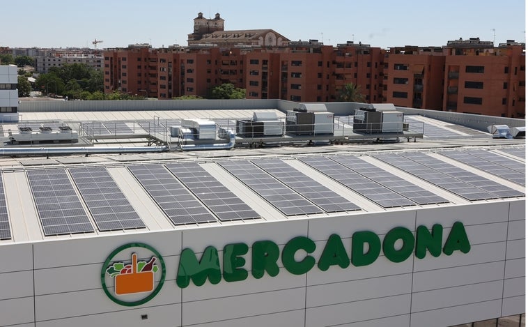 Mercadona busca en agosto personal con la FP para empleos fijos con sueldo de 1.415 euros al mes