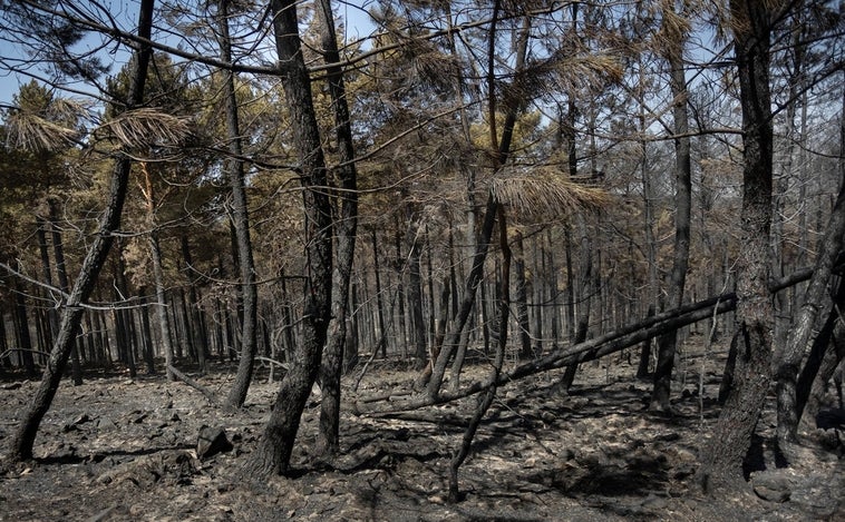 Los hosteleros de las zonas incendiadas: «No quiero limosnas sino que generen trabajo en la zona para tener clientes»