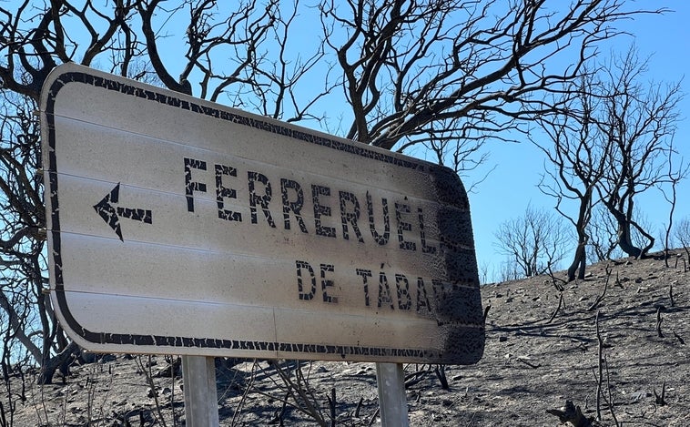 Mejora la evolución de los incendios en Castilla y León, que mantiene seis fuegos activos