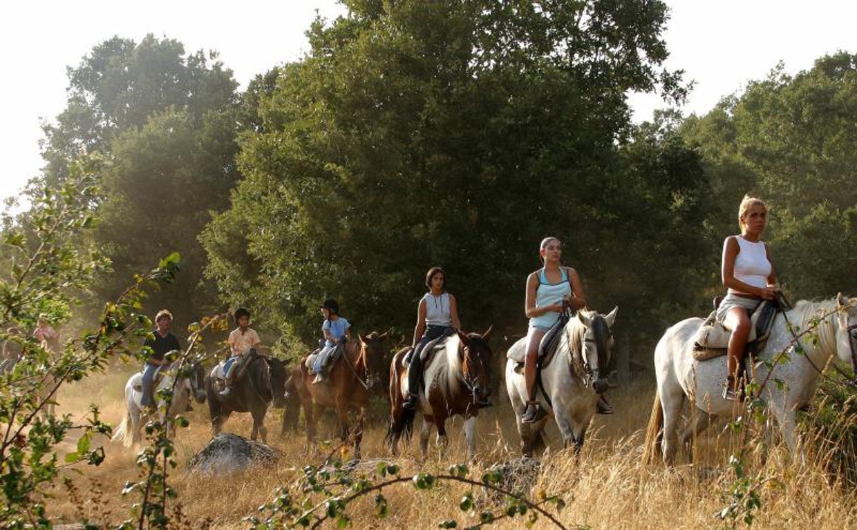 Turistas montando a caballo por el campo
