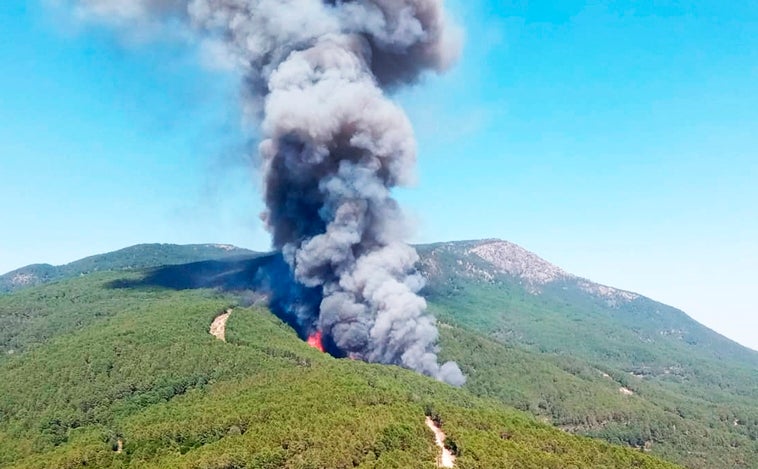 Medios aéreos y terrestres combaten un incendio en un bosque de Ávila