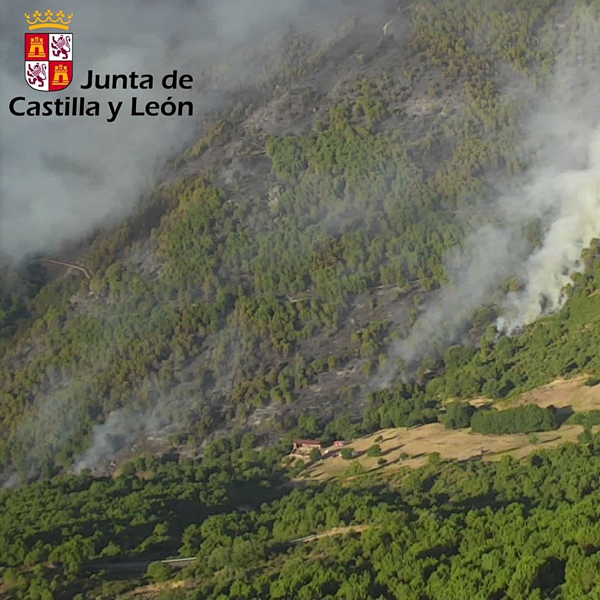 Las constantes reproducciones complican el incendio de Ávila, que obliga al desalojo de una urbanización