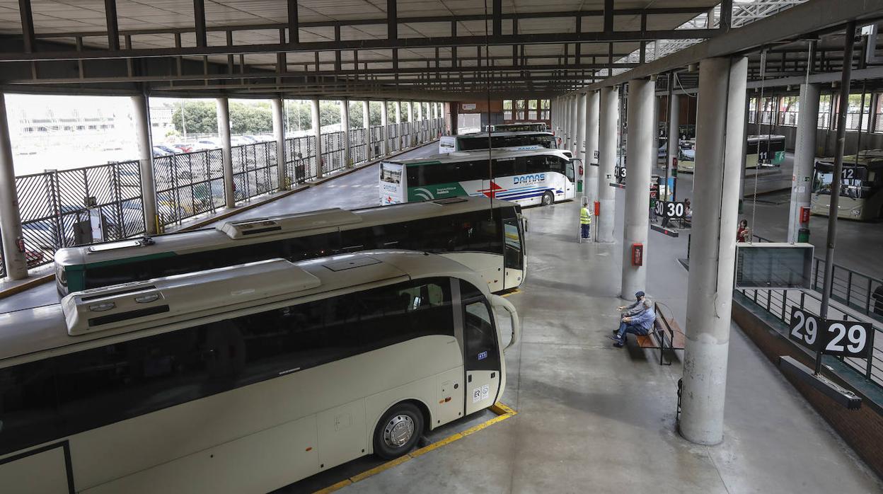 Las empresas andaluzas de autobuses anuncian su ruina por la gratuidad del tren
