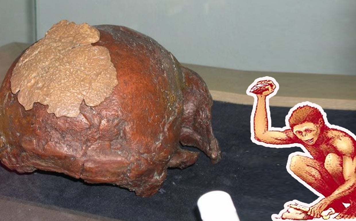 Misterios en Granada: el enigma del 'Hombre de Orce'