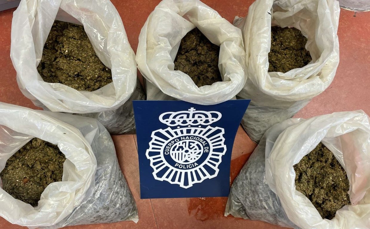 Bolsas de marihuana incautadas