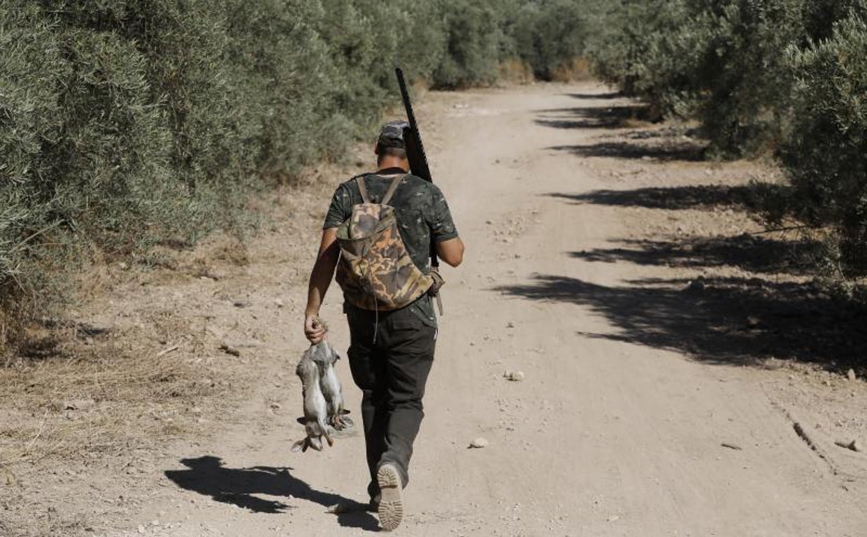 Un cazador camina por un coto de la provincia de Córdoba con varias piezas cobradas