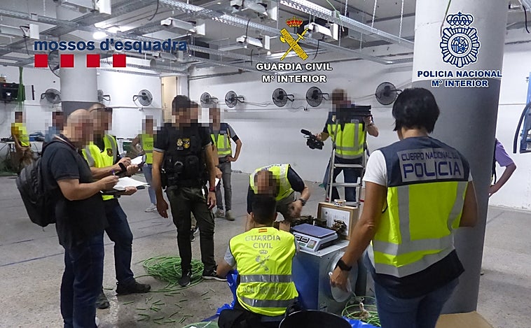 Incautan más de 5 toneladas de marihuana en Mataró y Pineda de Mar (Barcelona)