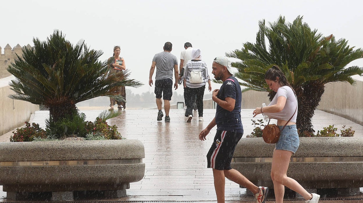 La lluvia de verano y el bochorno en Córdoba, en imágenes