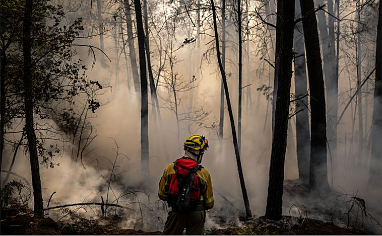 Los incendios intencionados no dan descanso en los bosques gallegos