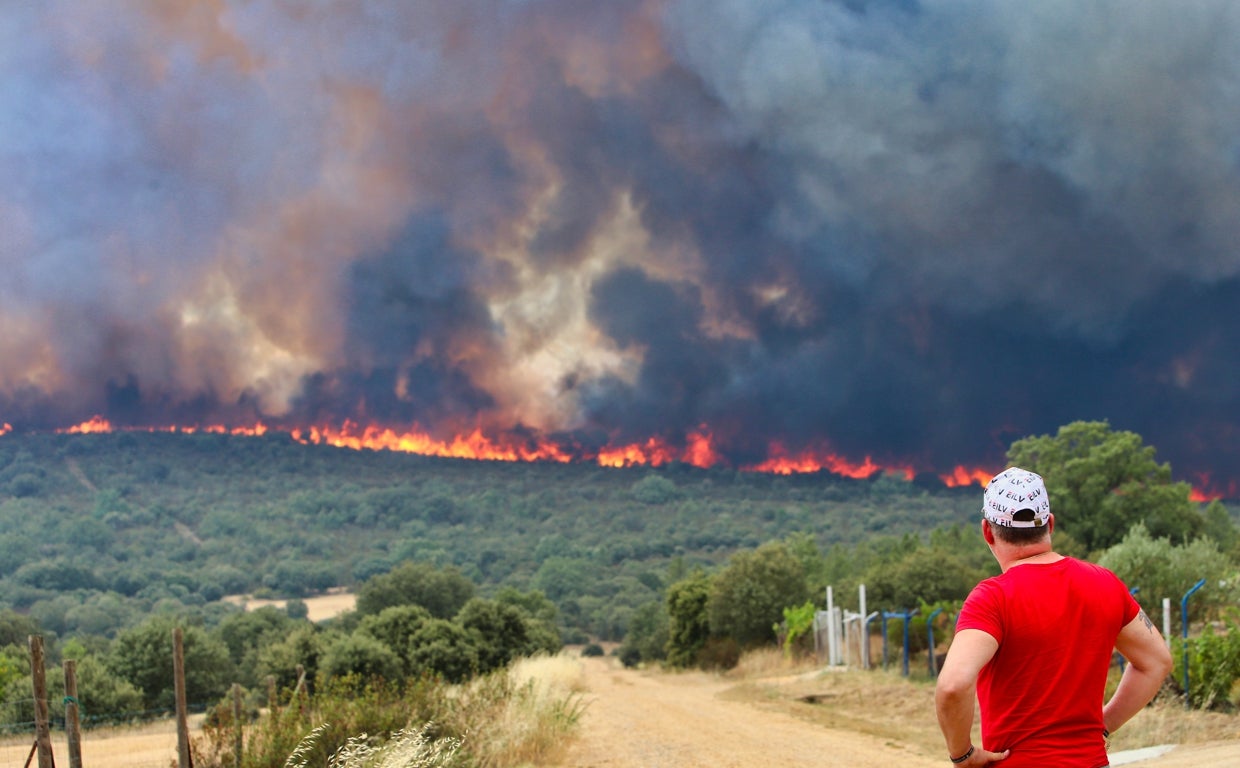 Imagen del incendio forestal registrado en el entorno de Losacio en Zamora a finales del mes de julio