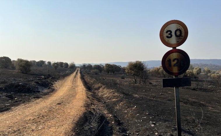 El incendio de Losacio (Zamora), con casi 31.500 hectáreas calcinadas, es el mayor fuego registrado en la Comunidad